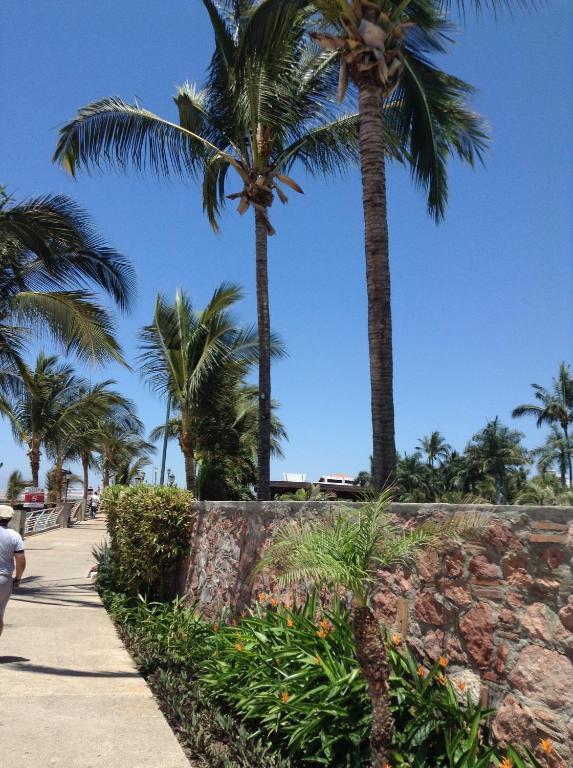 Molino De Agua Hotel Puerto Vallarta Exterior foto